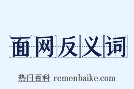 面网反义词是什么意思的图片